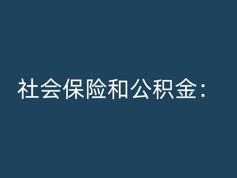 社会保险和公积金：