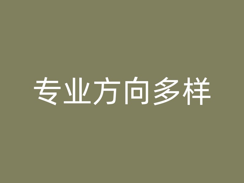 专业方向多样