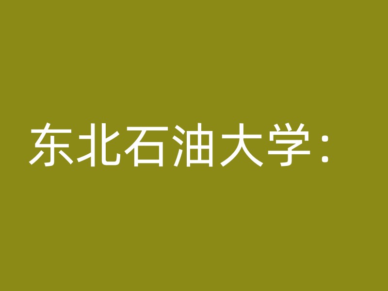 东北石油大学：