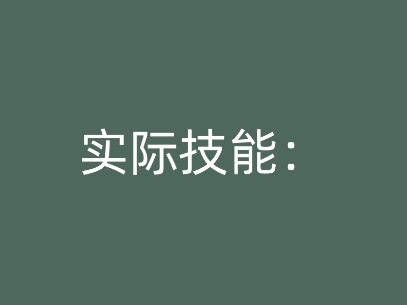 实际技能：