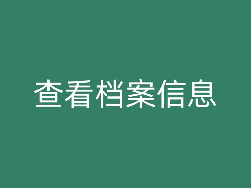 查看档案信息