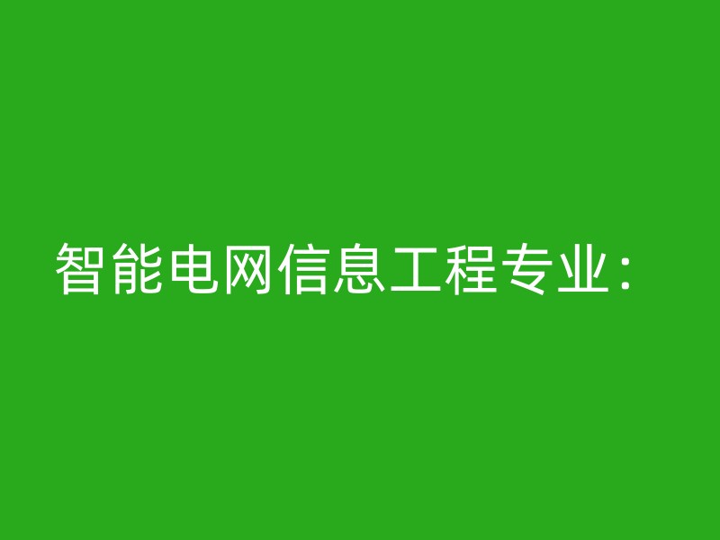 智能电网信息工程专业：