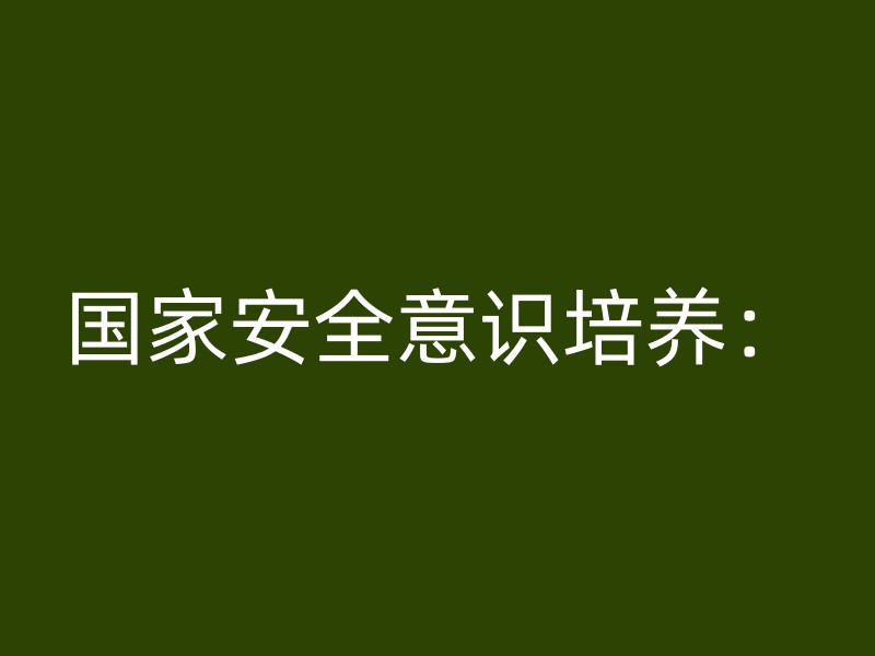 国家安全意识培养：