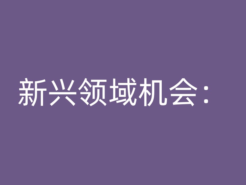 新兴领域机会：