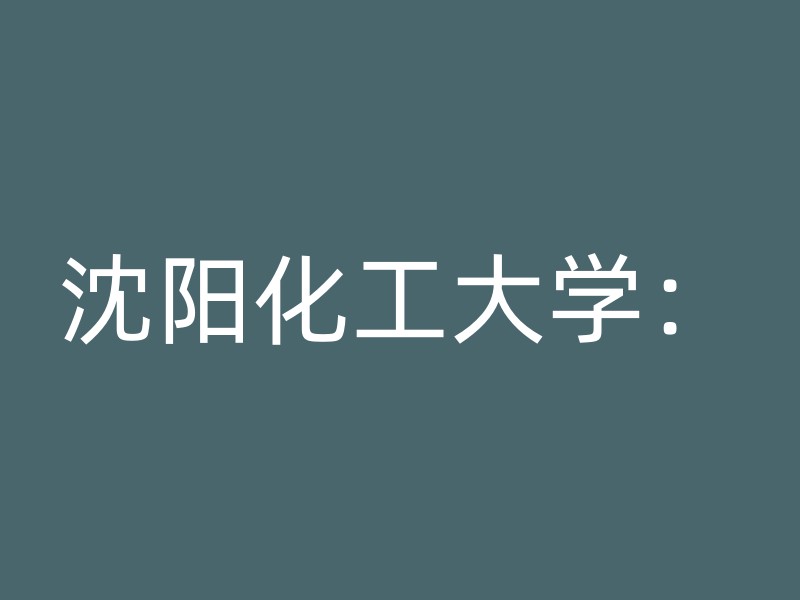 沈阳化工大学：