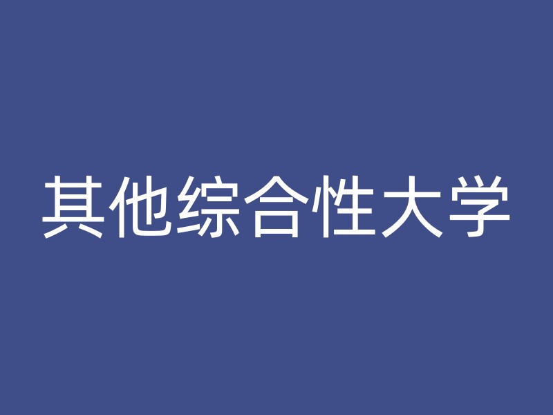 其他综合性大学