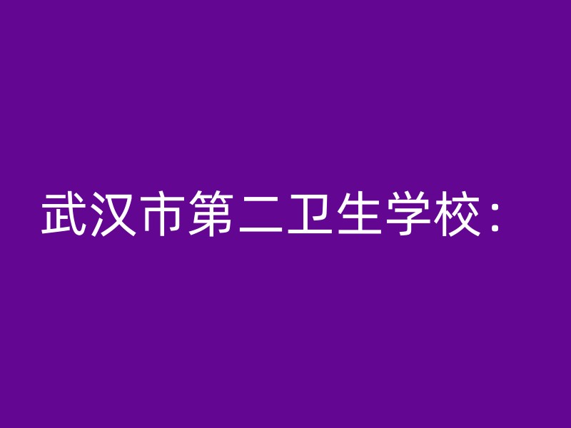 武汉市第二卫生学校：