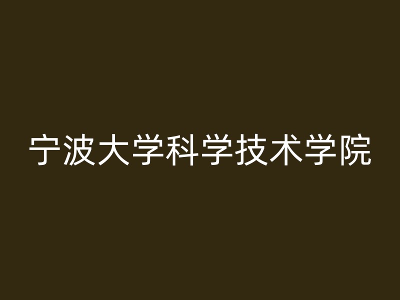 宁波大学科学技术学院