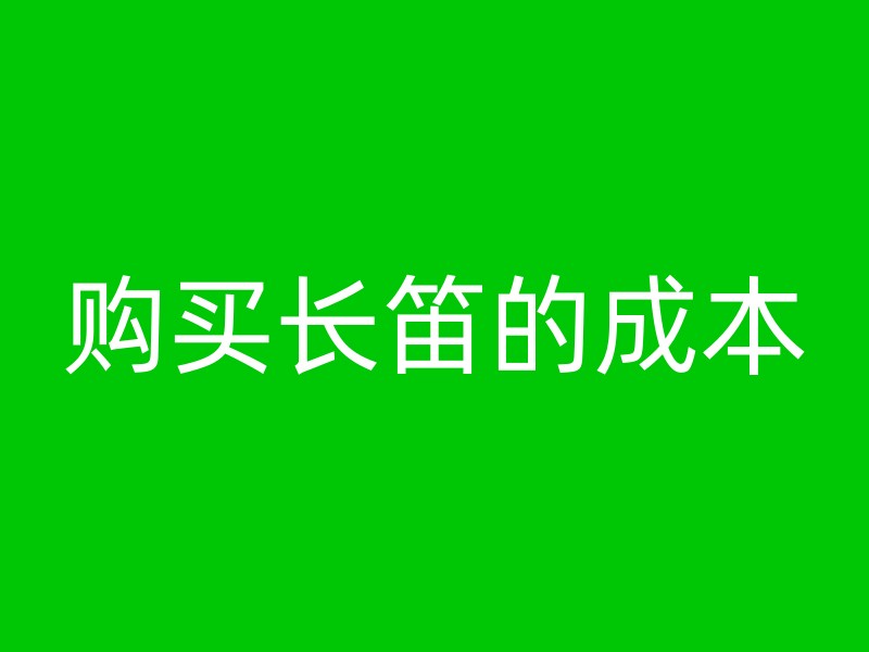 购买长笛的成本