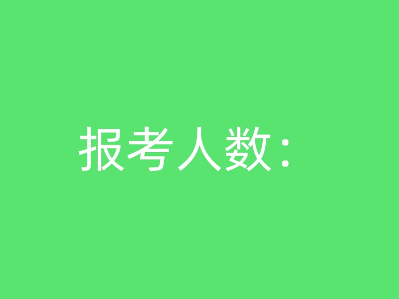 报考人数：