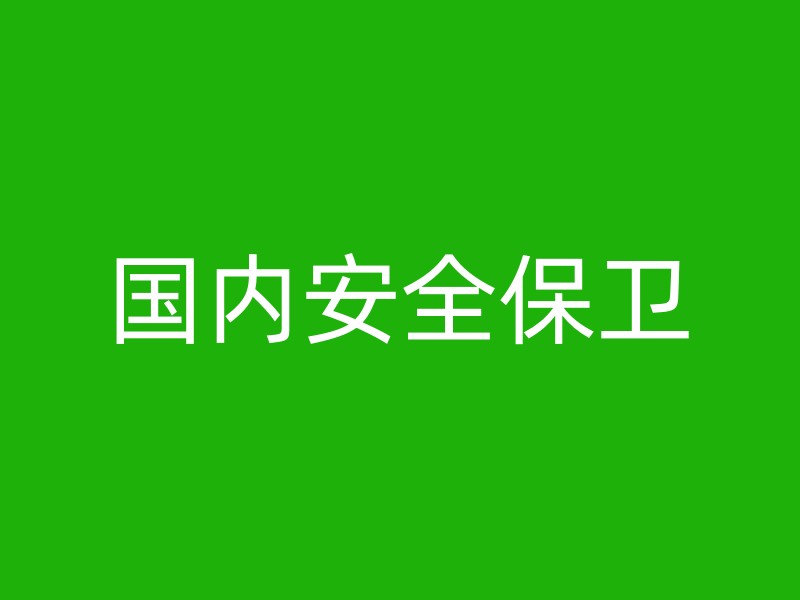 国内安全保卫