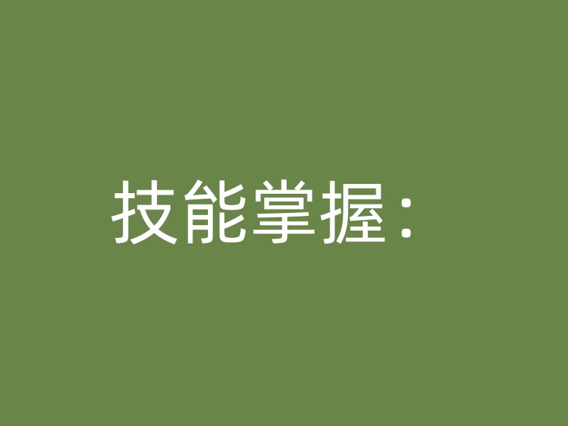 技能掌握：