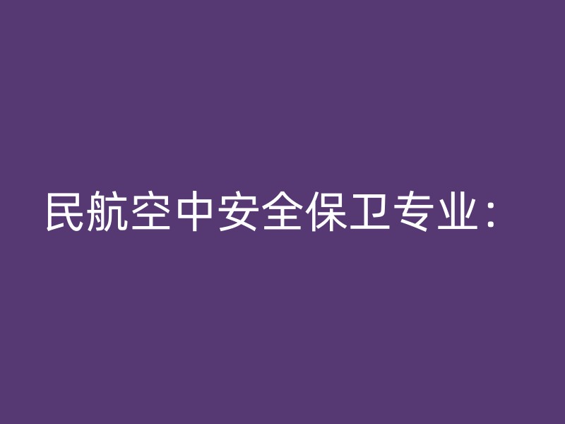 民航空中安全保卫专业：