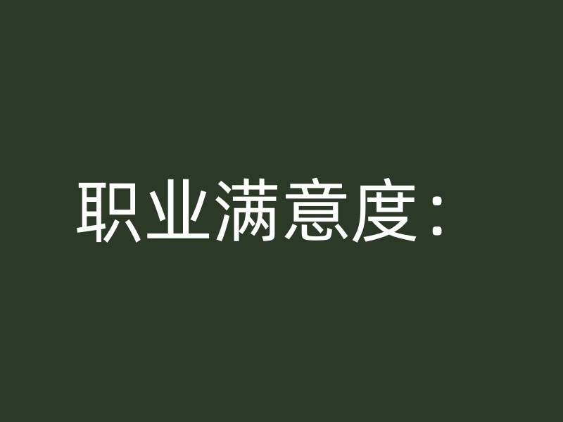 职业满意度：