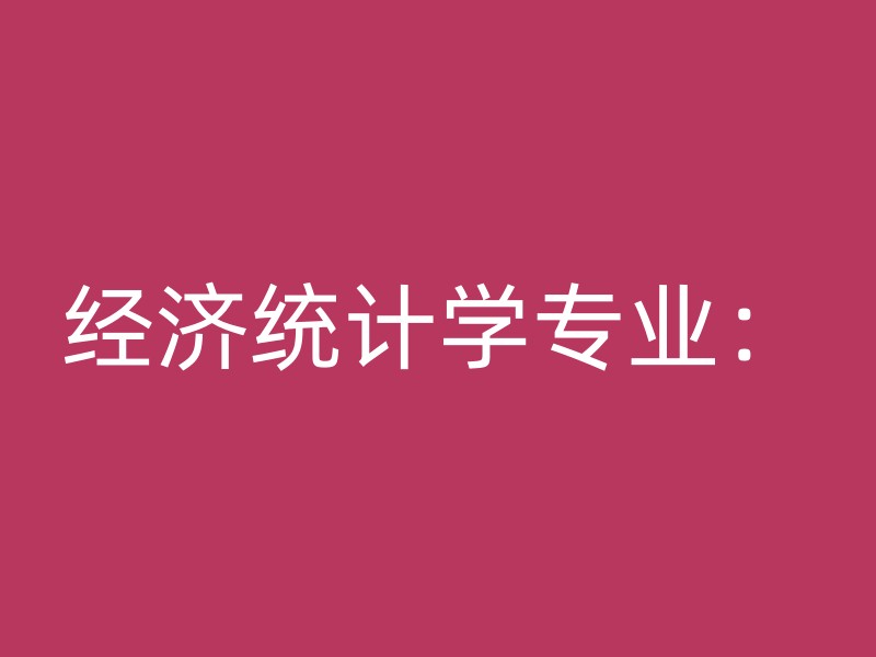 经济统计学专业：