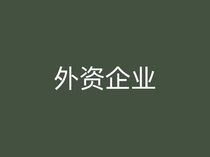 外资企业