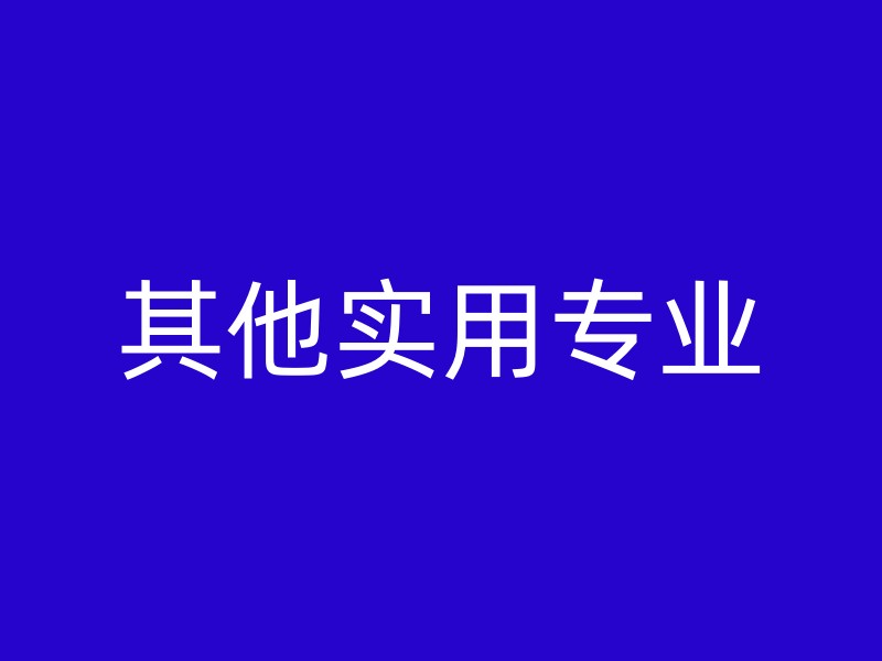 其他实用专业