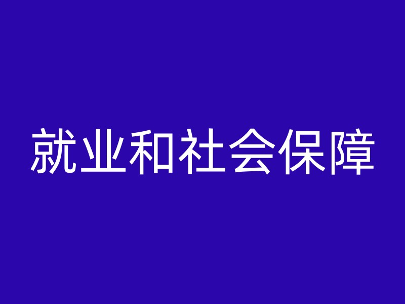 就业和社会保障