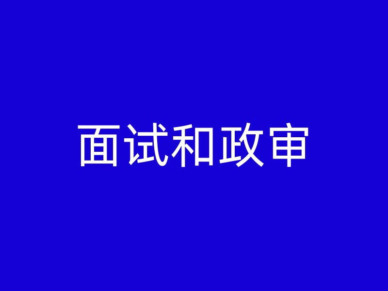 面试和政审