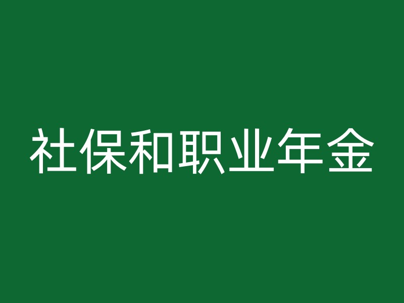 社保和职业年金