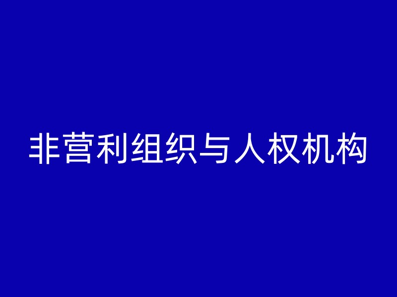 非营利组织与人权机构