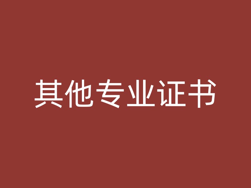 其他专业证书