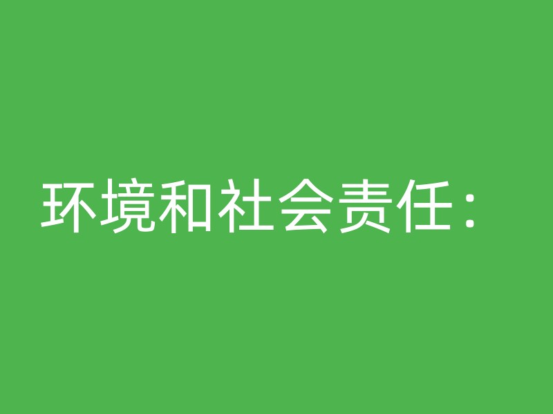 环境和社会责任：