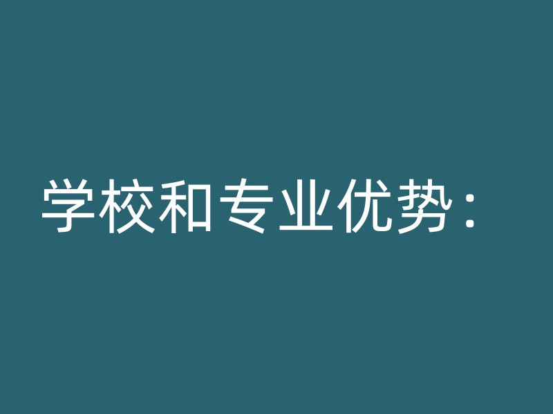 学校和专业优势：