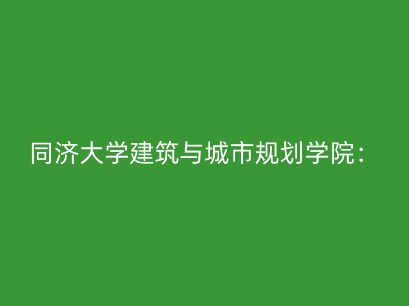 同济大学建筑与城市规划学院：