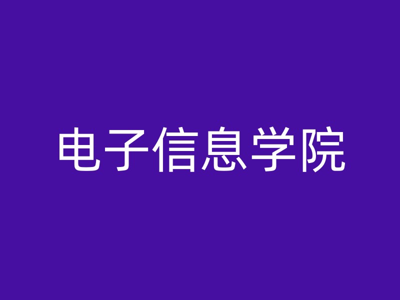 电子信息学院