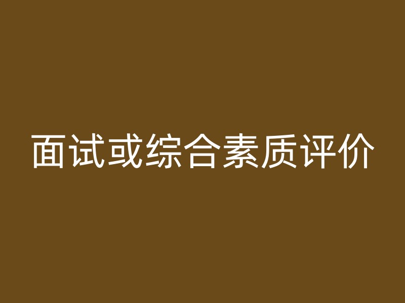 面试或综合素质评价