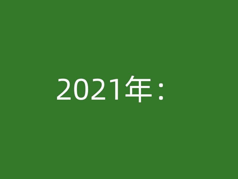 2021年：