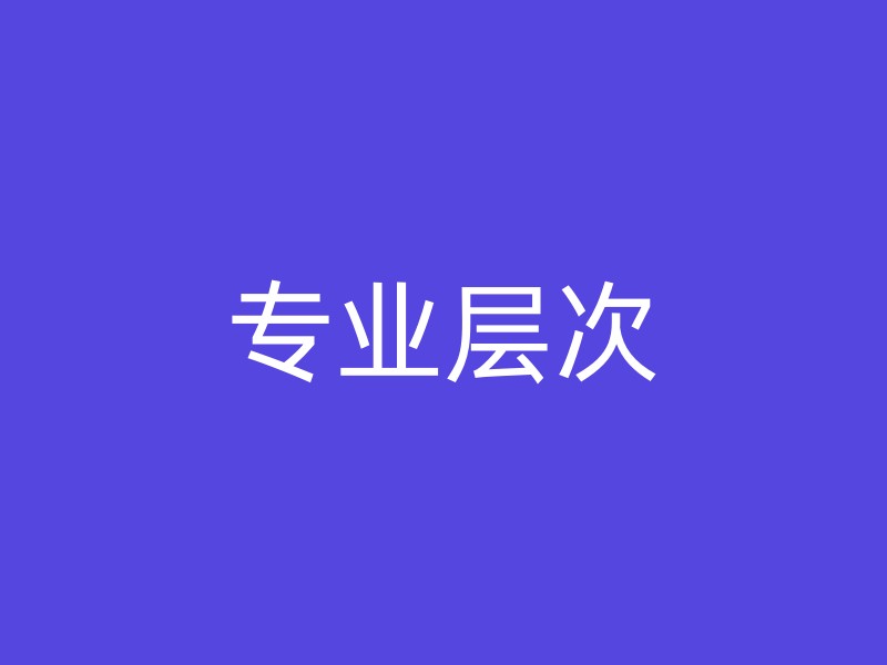 专业层次