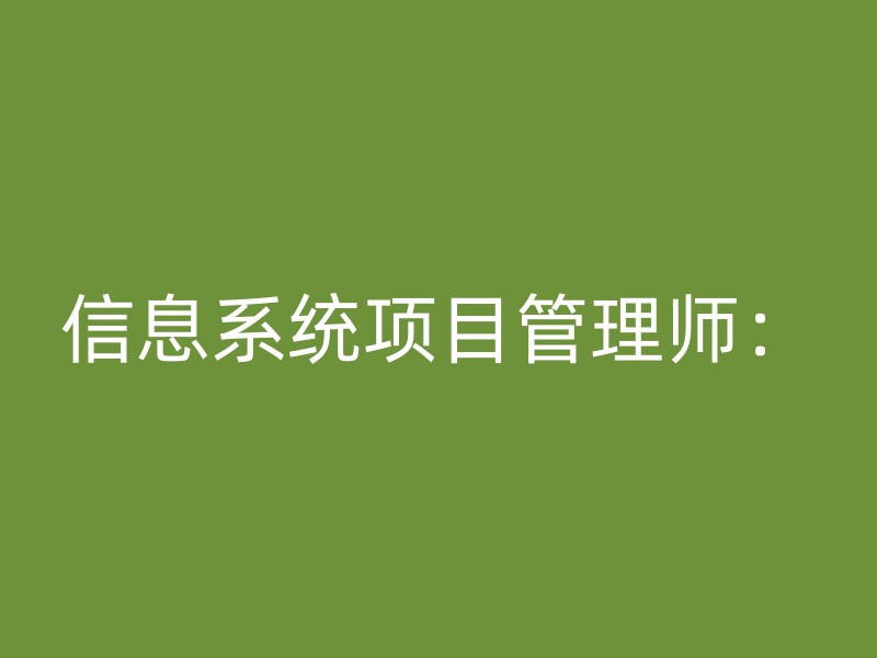 信息系统项目管理师：