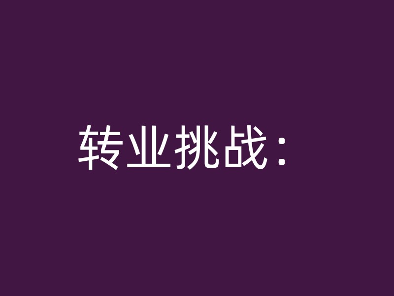 转业挑战：