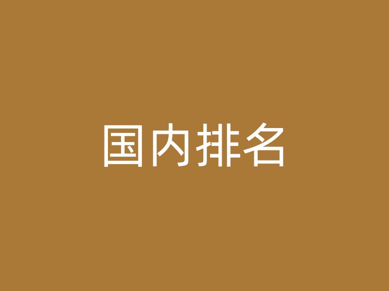 国内排名