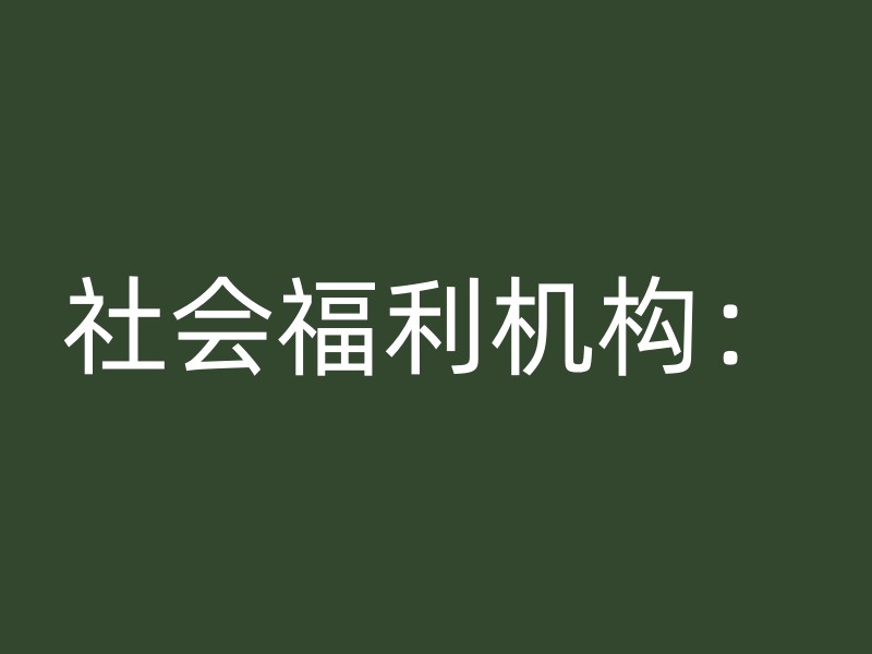 社会福利机构：