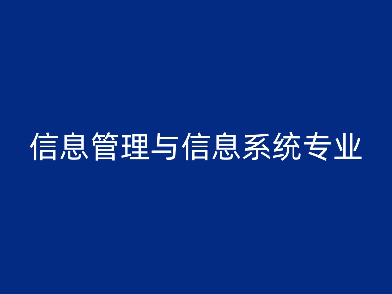 信息管理与信息系统专业