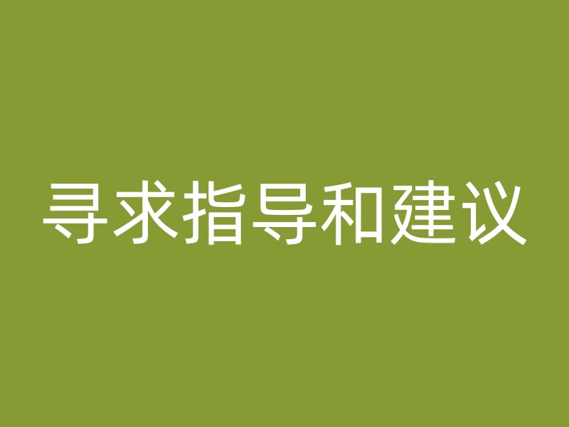 寻求指导和建议