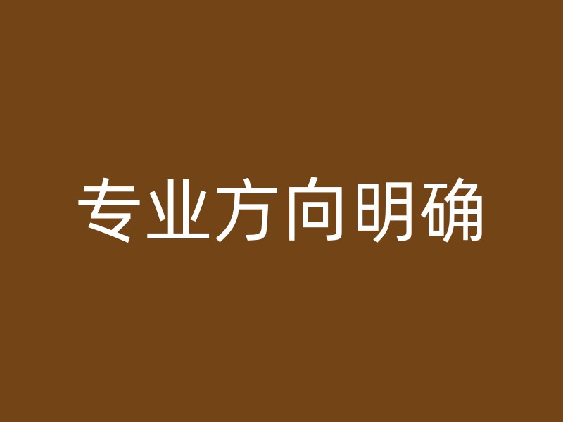 专业方向明确