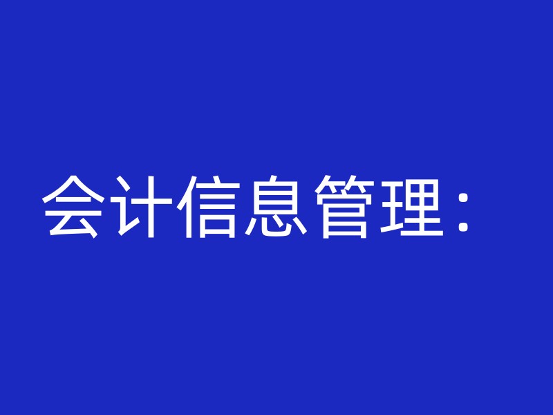 会计信息管理：