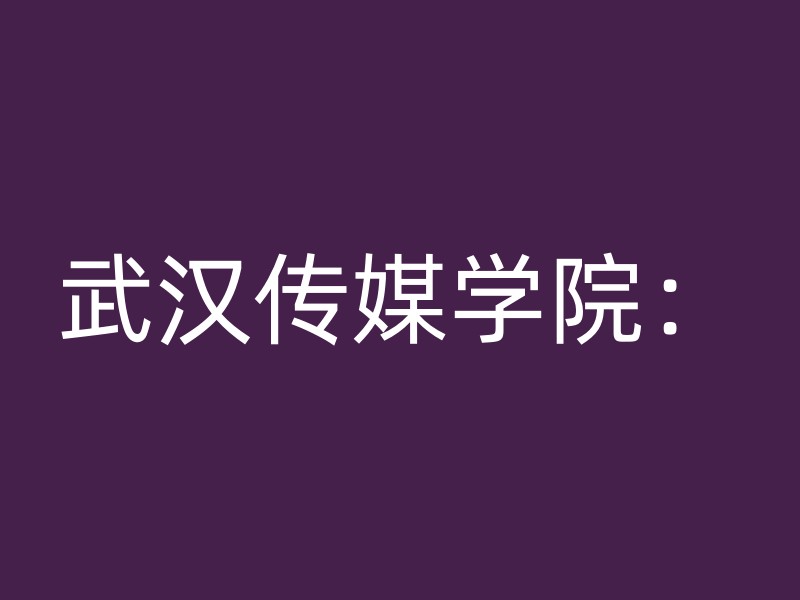 武汉传媒学院：