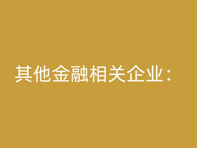 其他金融相关企业：