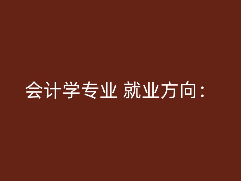 会计学专业 就业方向：