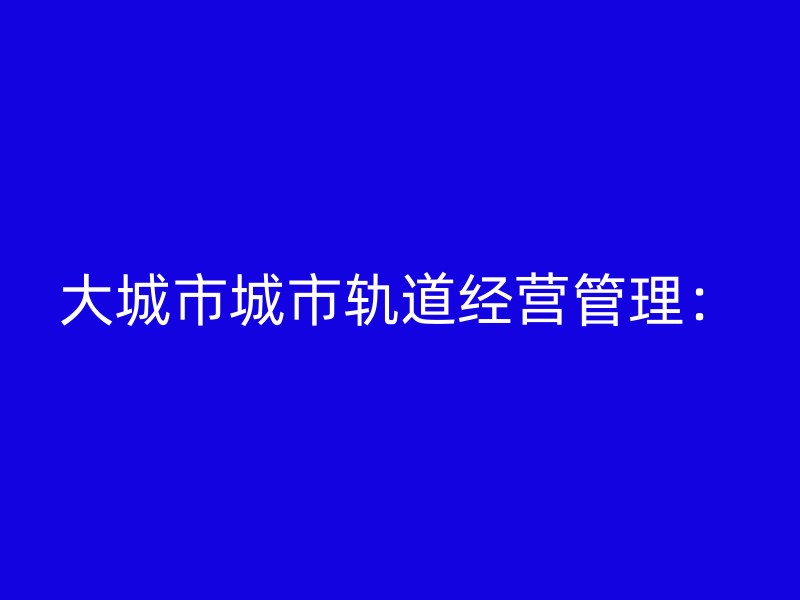 大城市城市轨道经营管理：