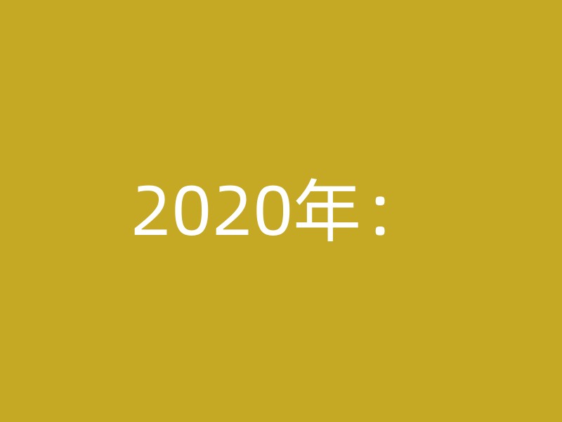 2020年：