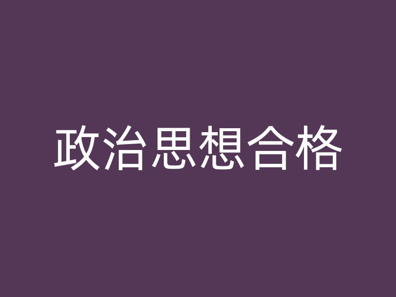 政治思想合格