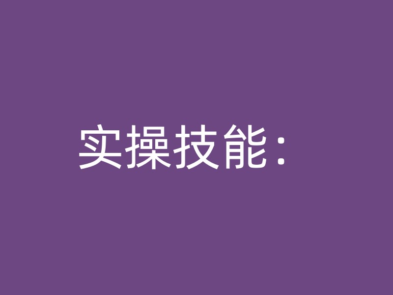 实操技能：