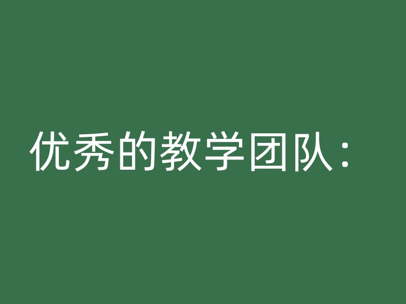 优秀的教学团队：