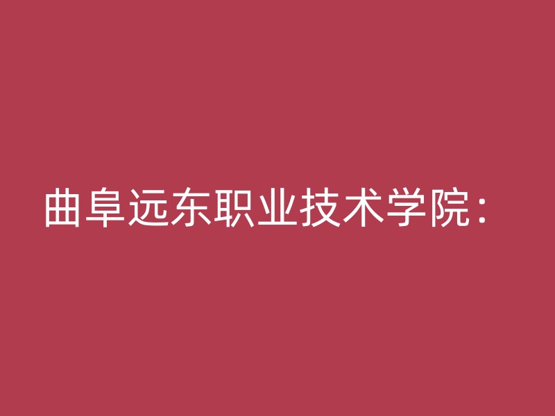 曲阜远东职业技术学院：